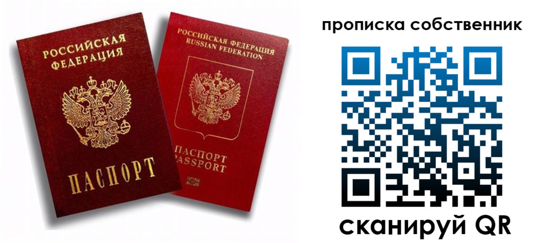 прописка 2025 в Оленегорске